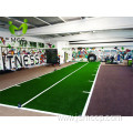 PU backing Artificial Grass for Gym